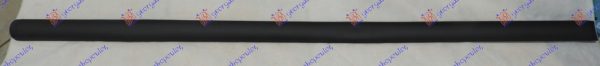 REAR DOOR SIDE MOULDING (O)