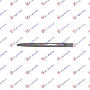 REAR DOOR SIDE MOULDING