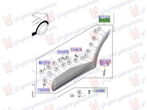 REAR DOOR MOULDING (O)